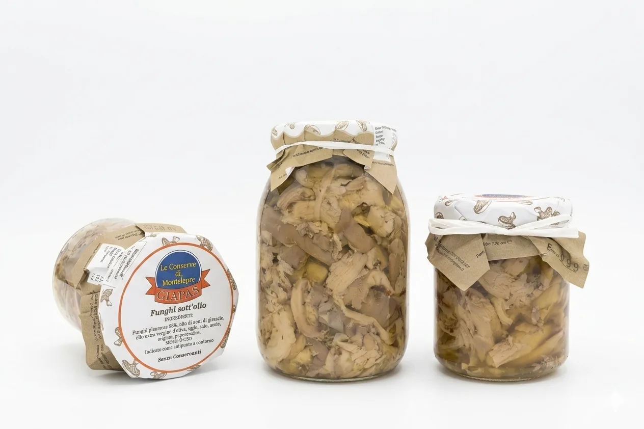 Funghi sott' olio